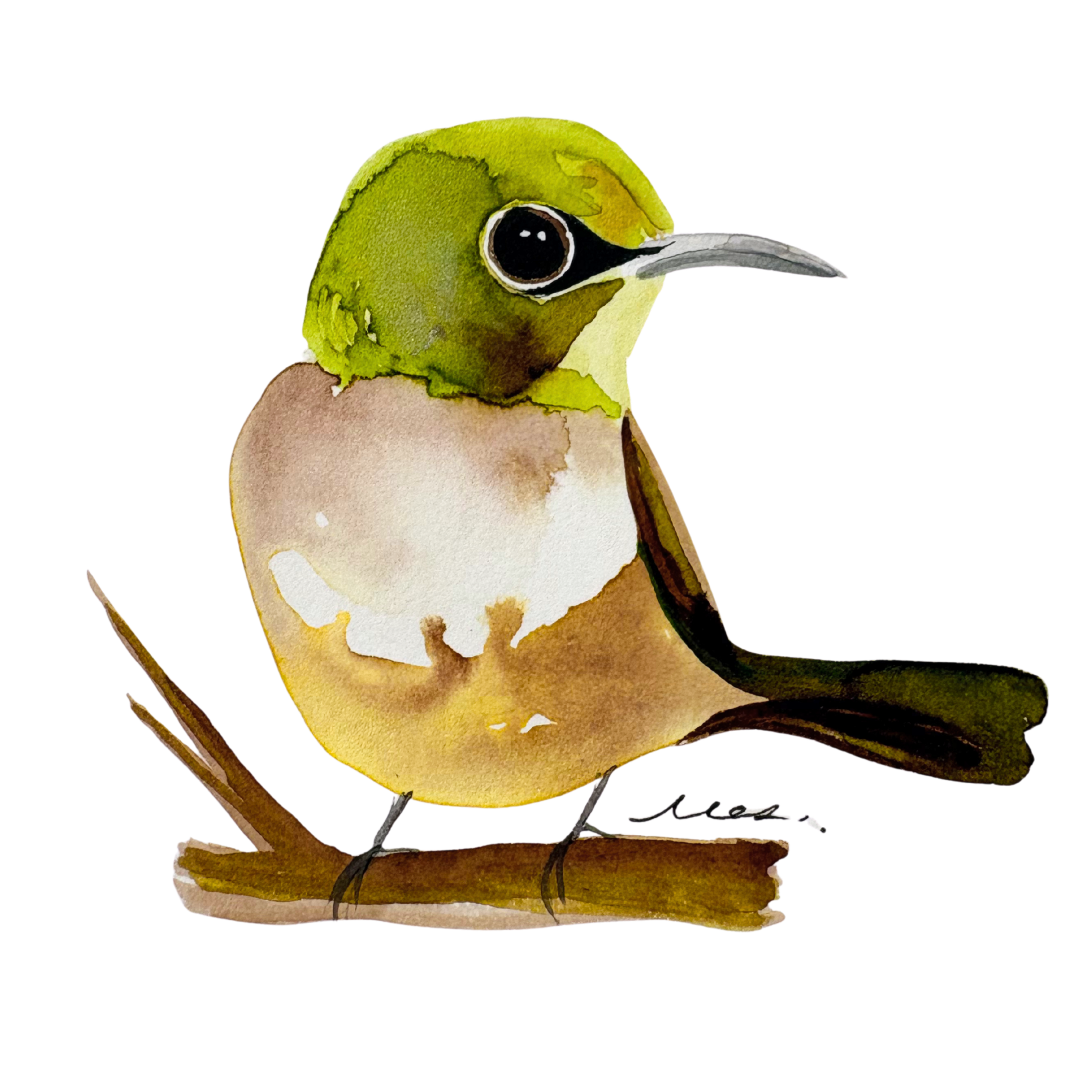 Watercolor illustration of a small, green bird with a large, dark eye, perched on a branch against a black background.