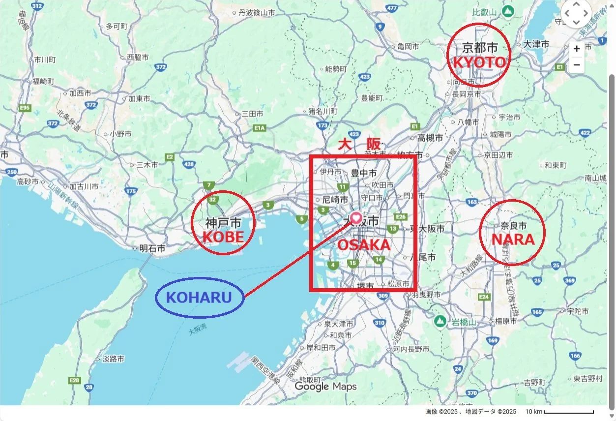 日本国における大阪市と周辺都市との位置関係