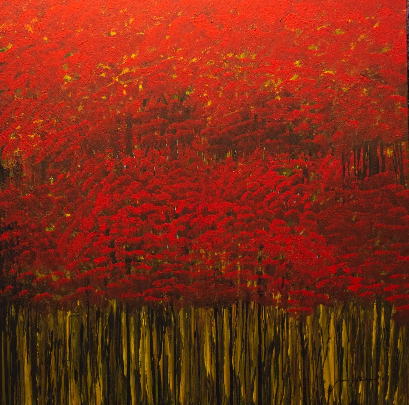 Leyes de la Sabiduría 