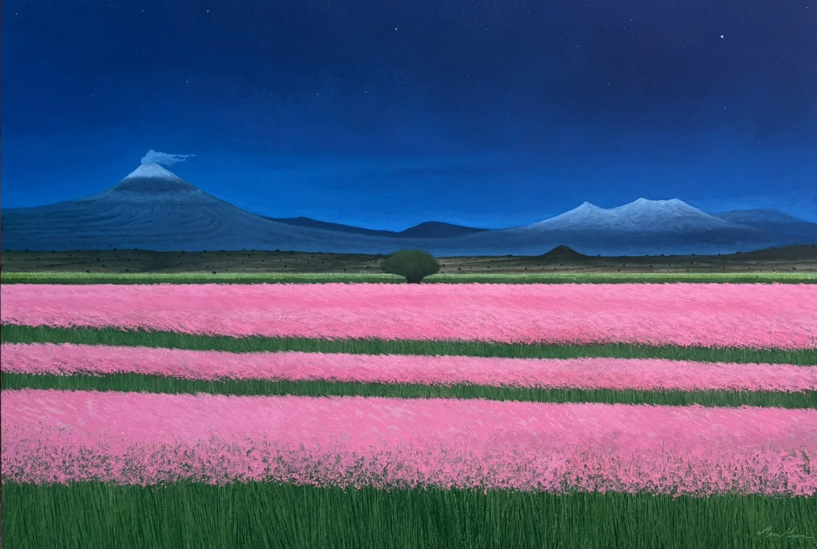Mi estrella  
111 x 160 cms- Óleo s/loneta  
 Consultar 