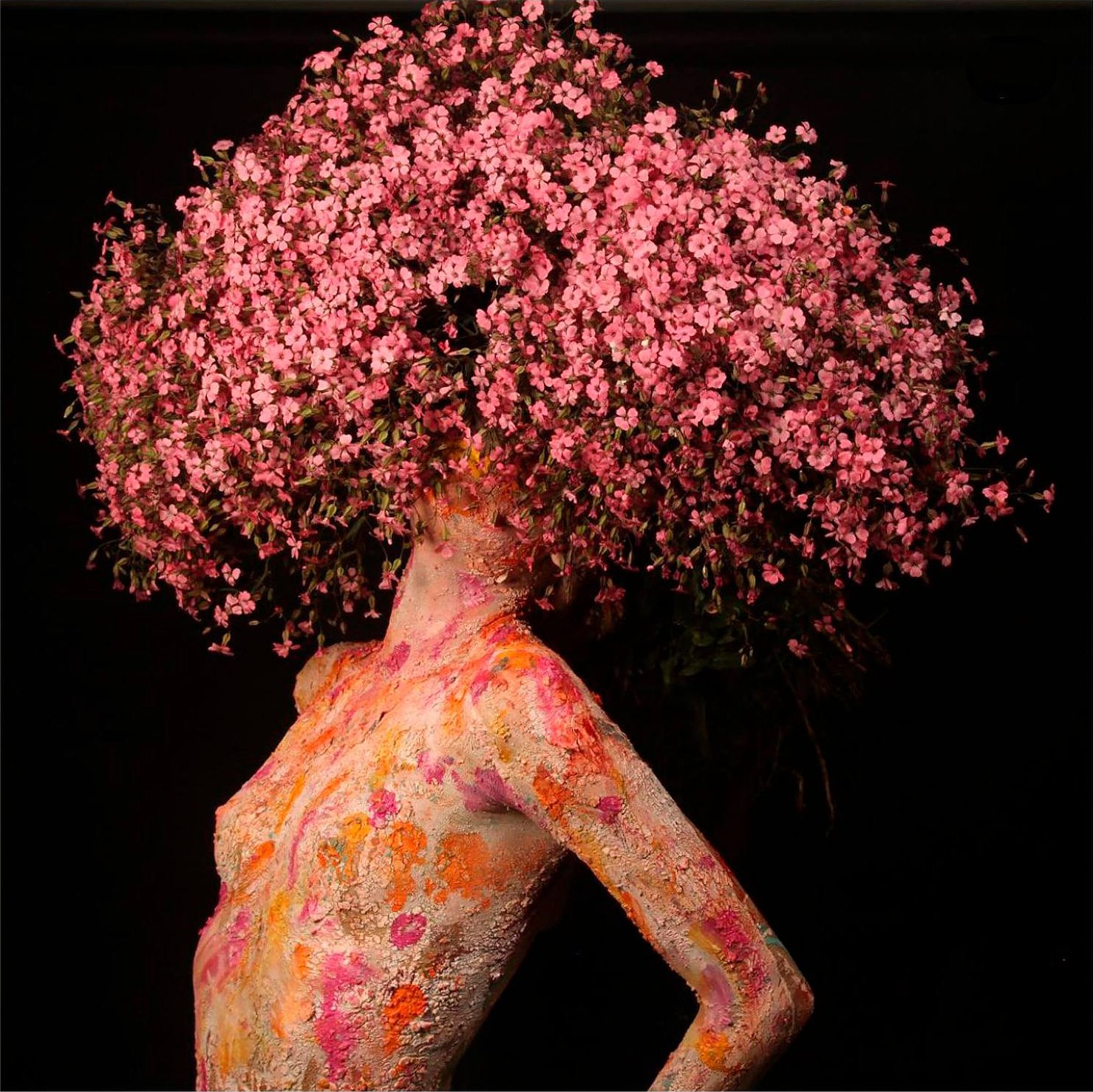 Carmina 
136 x 141 cms - Enmarcado - fotografia - papel algodon  
 Inquire 