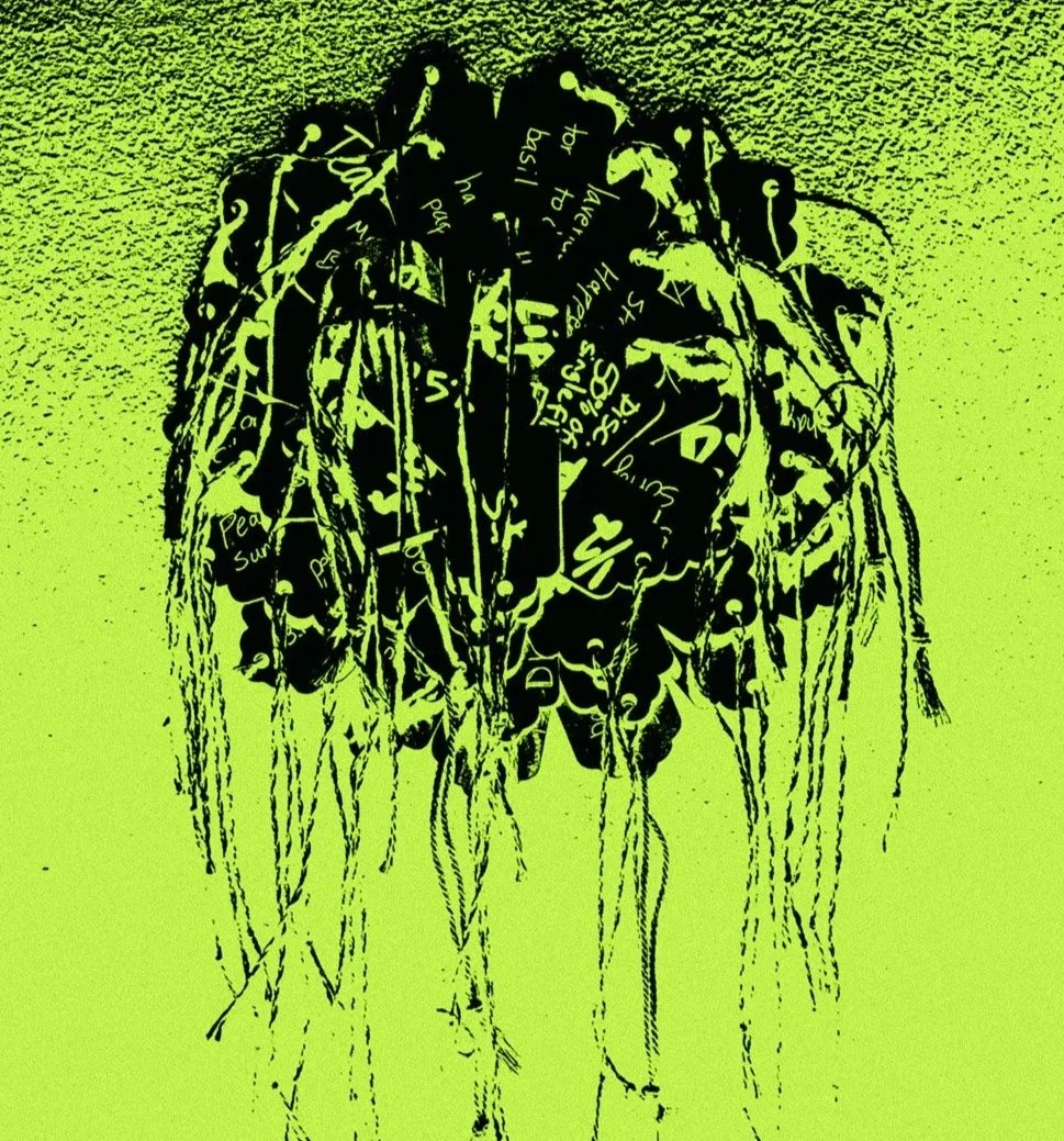 Black silhouette of a jellyfish with handwritten notes and phrases inside, set against a textured green background.