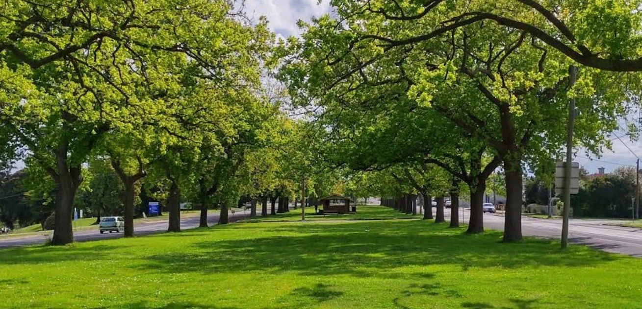 Screenshot 2026-01-16 151740.jpg