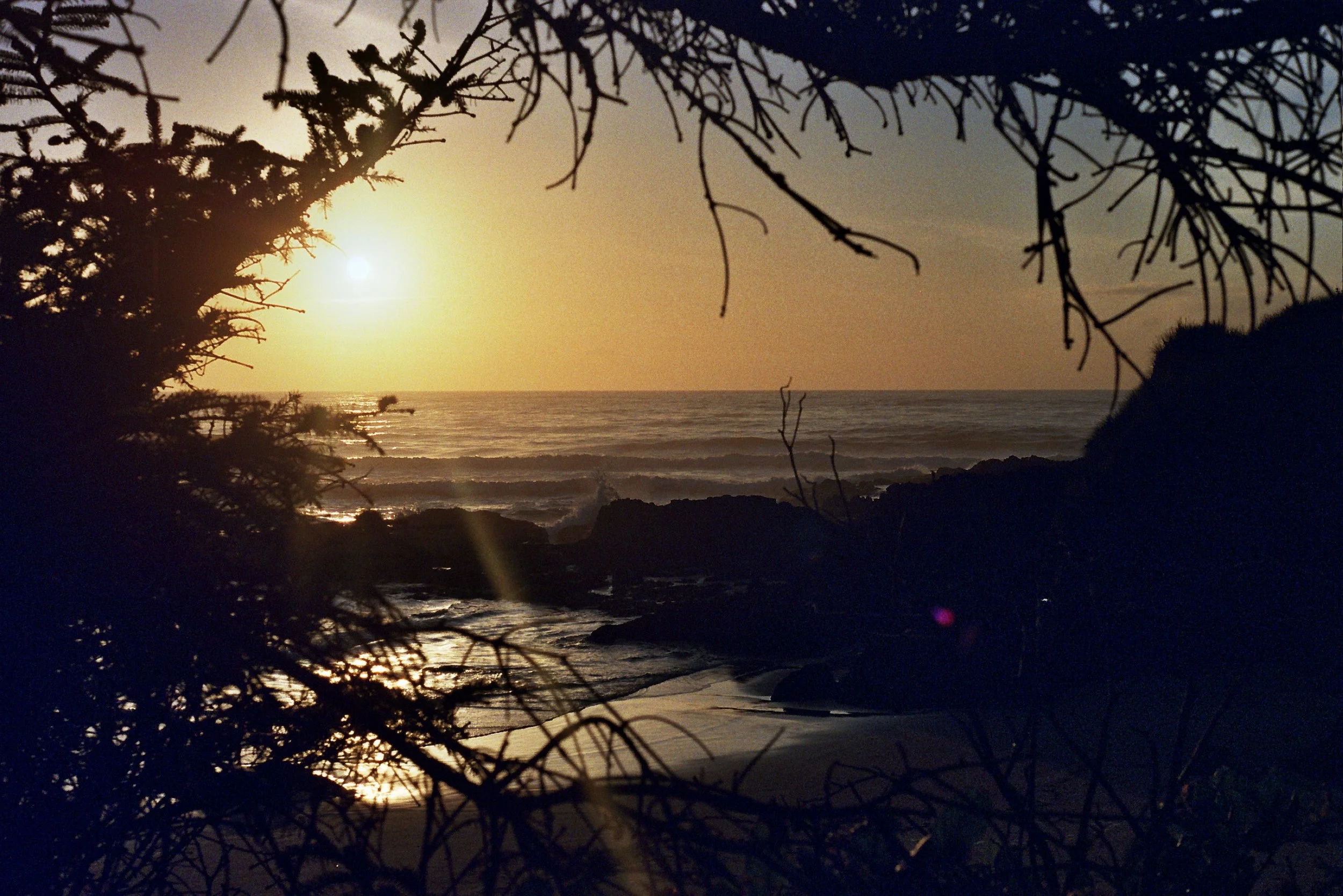 Sunset over the ocean seen through dark silhouette of tree branches and rocks on the beach.