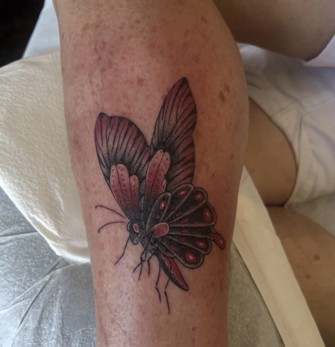 Matt ''Dr.Claw" Verseput