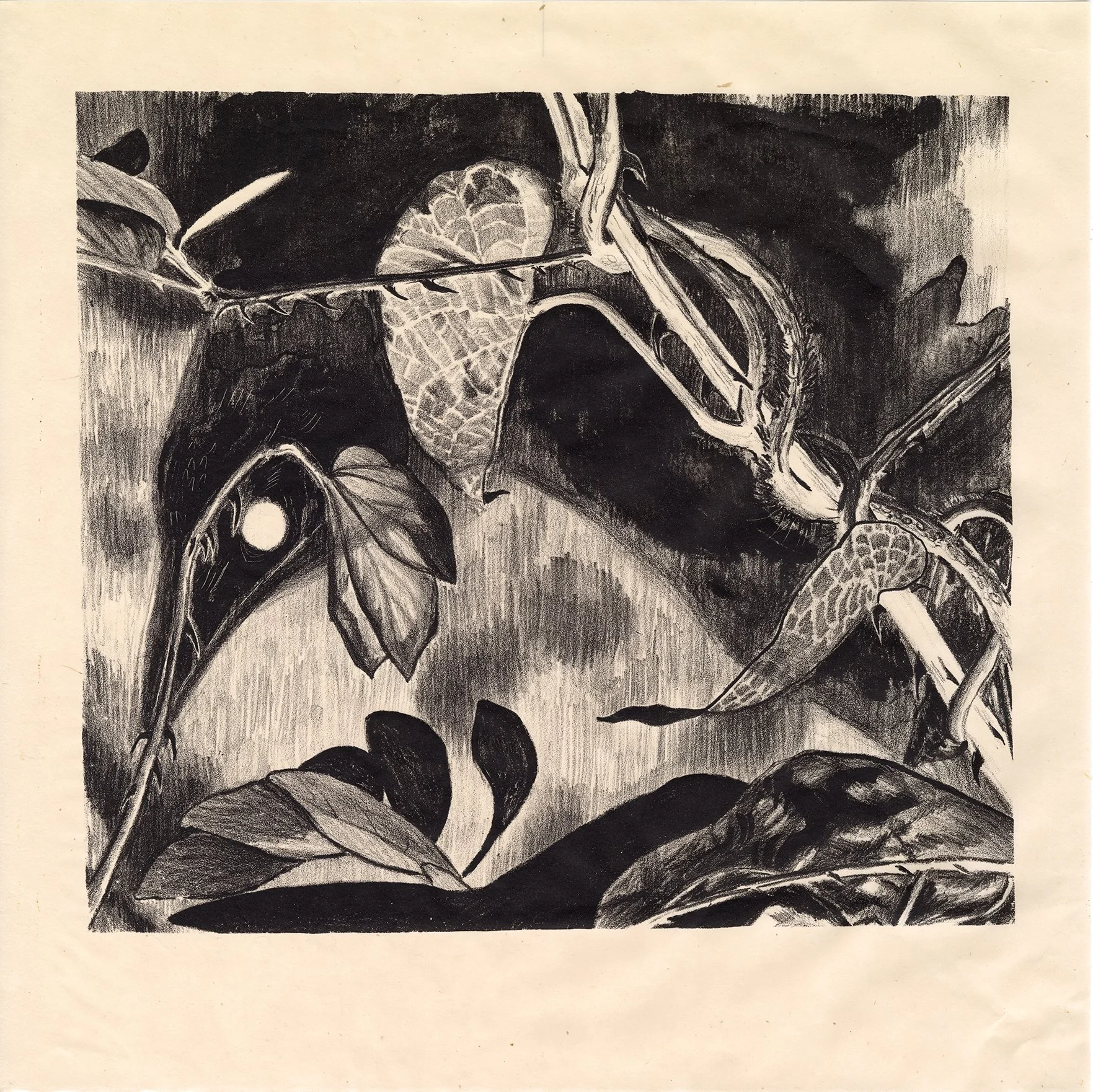 "Antumbra Obscura" Lithograph on gampi