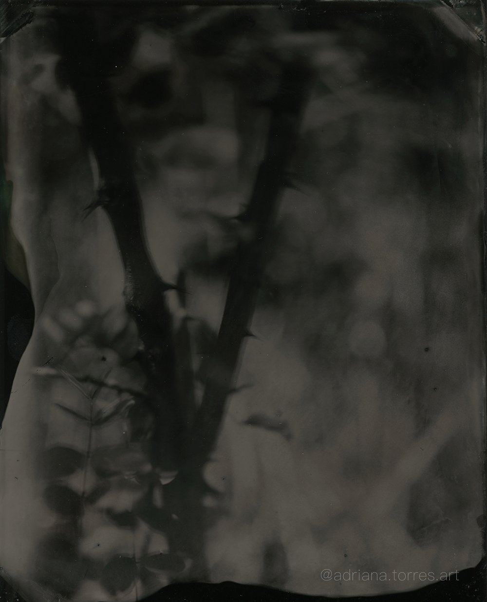"untitled" tintype