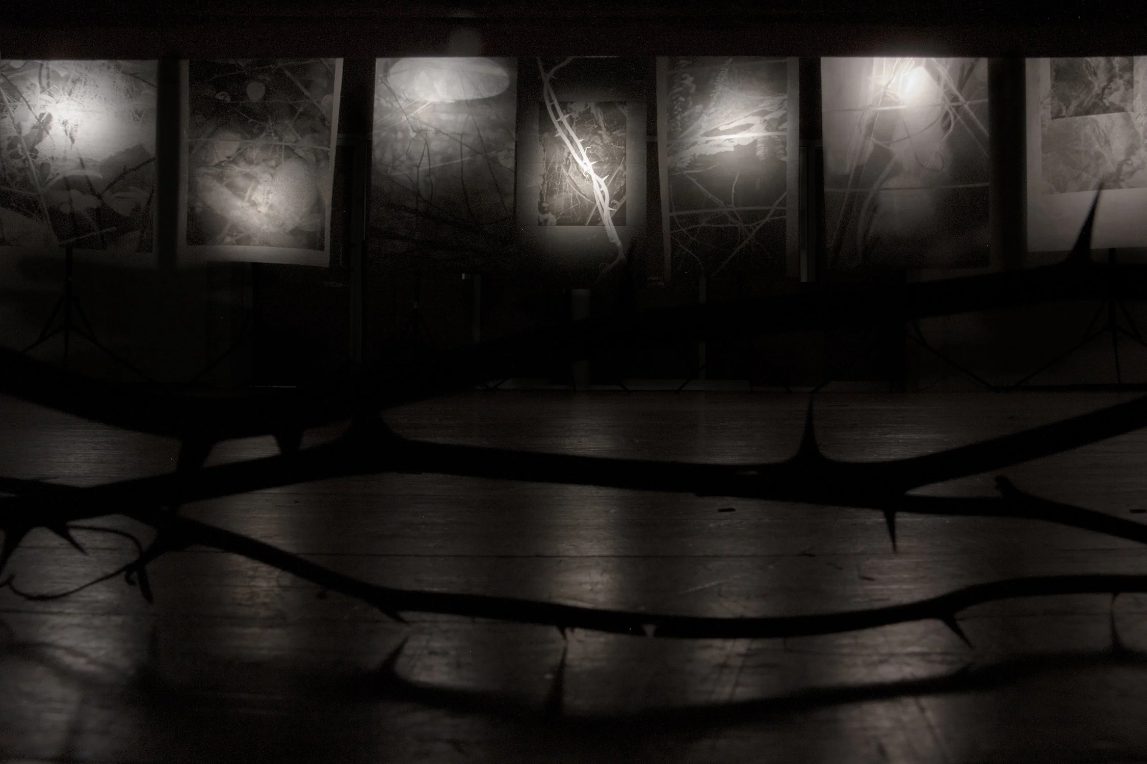 "Spinarum" solo show documentation