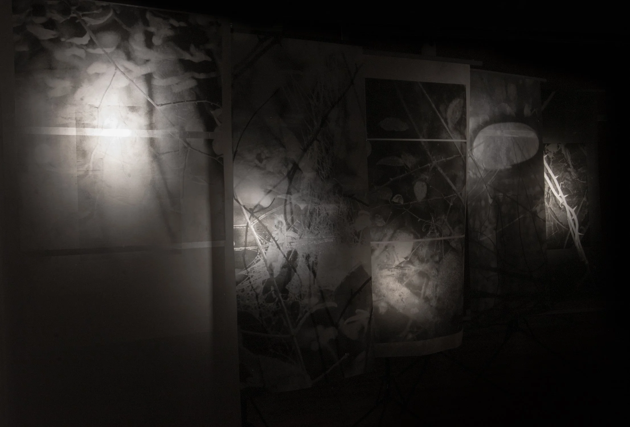 "Spinarum" solo show documentation