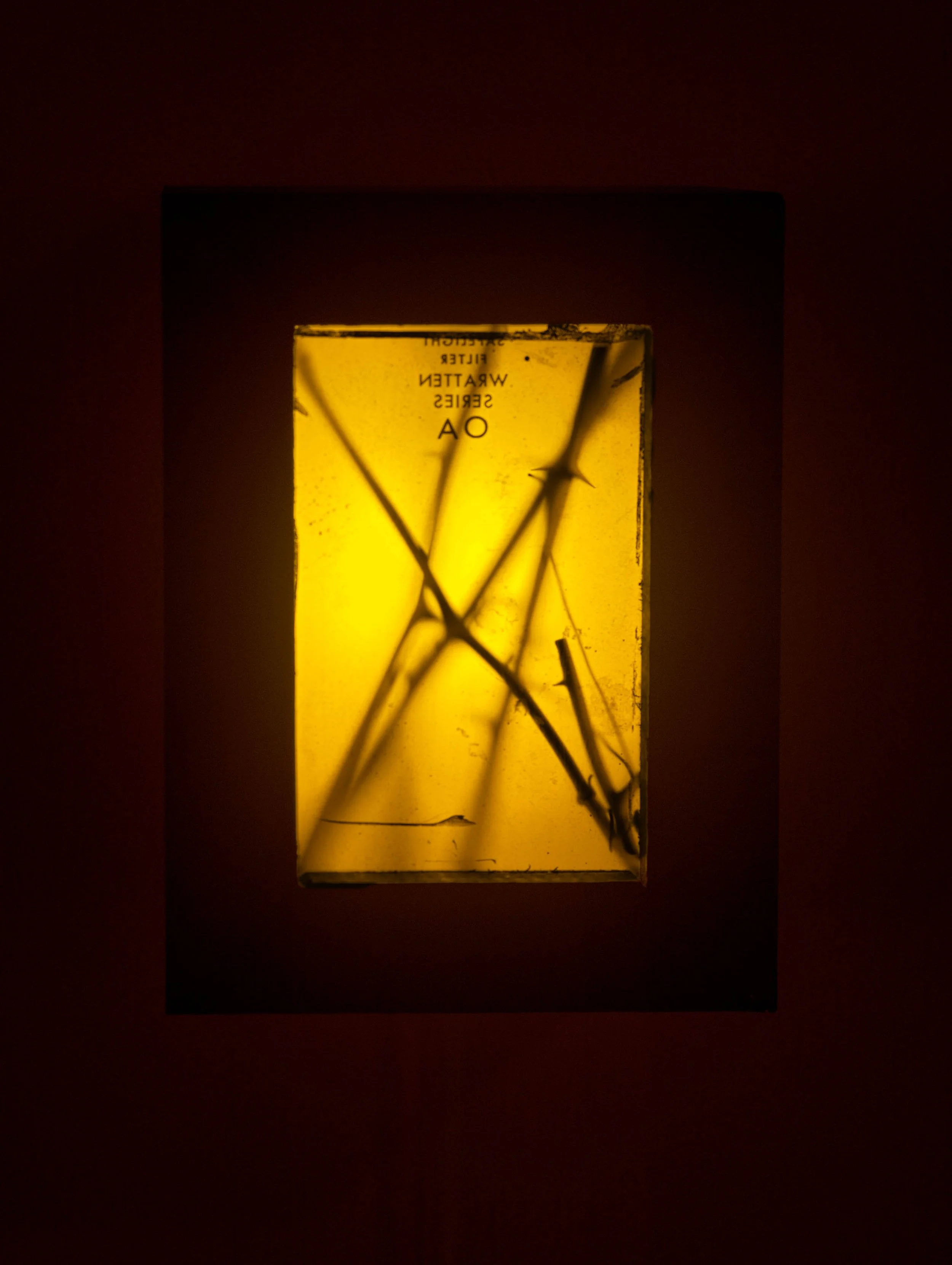20260317_torres_mfa_0066.jpg