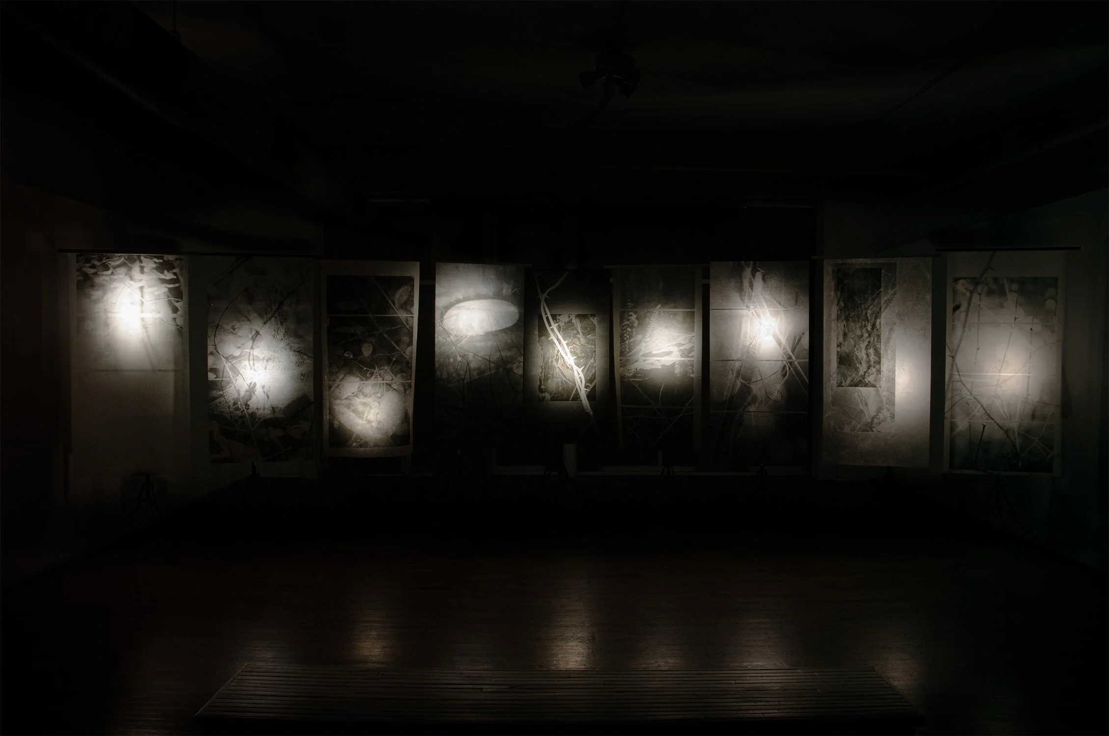 "Spinarum" solo show documentation