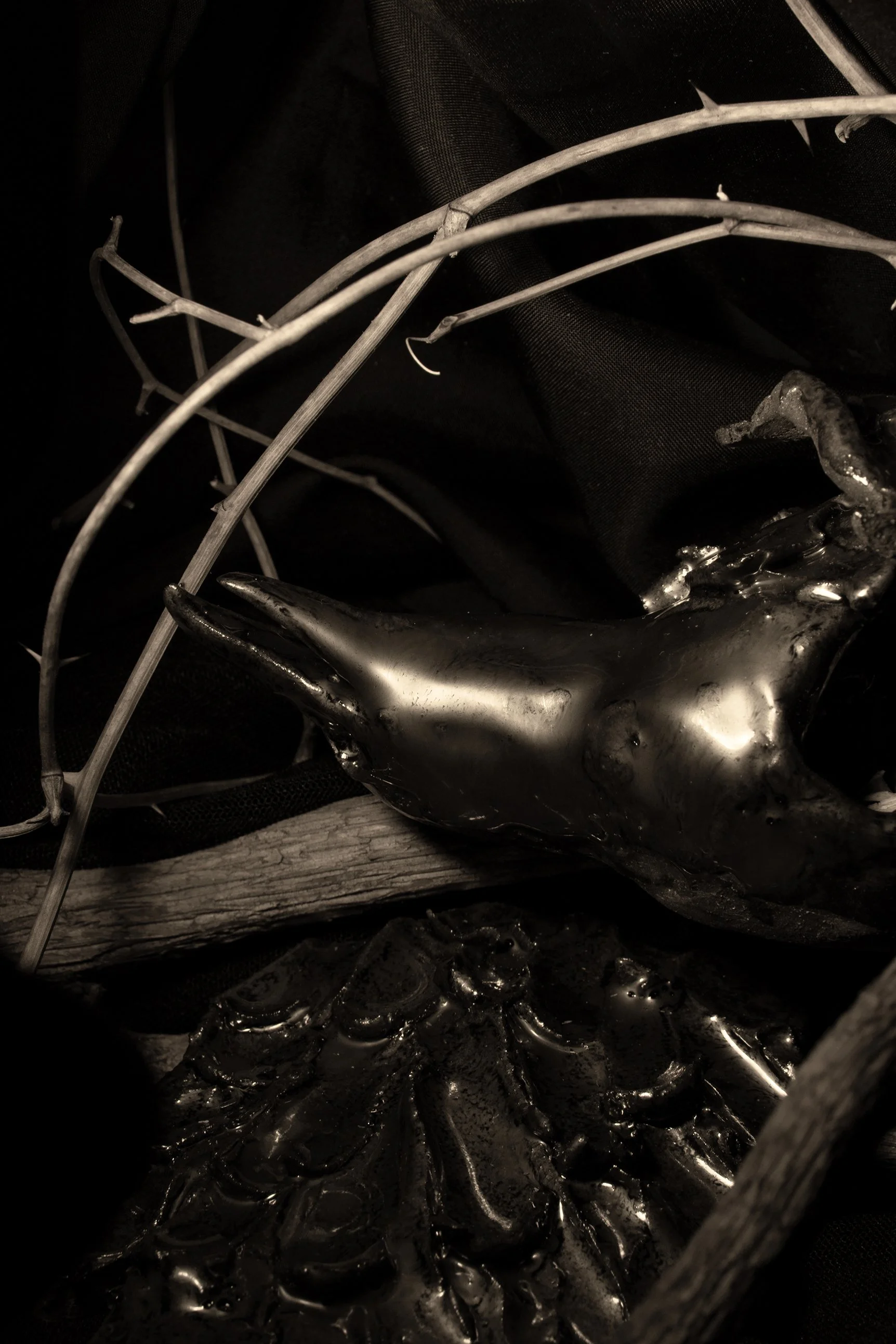 "untitled" Digital photograph of assemblage with ceramic piece and organic matter.