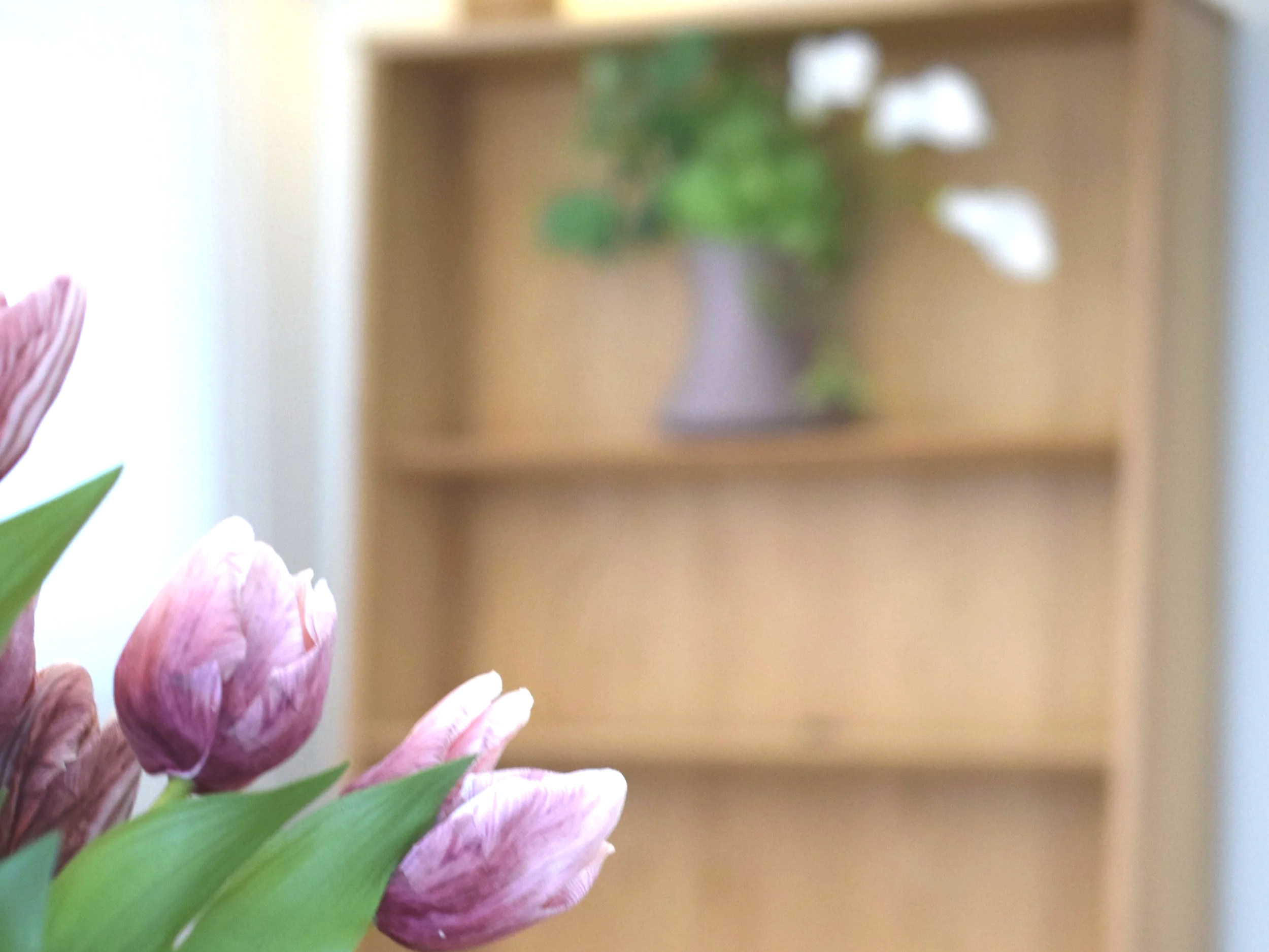 ピンク色の花が手に持たれている。背景には木の棚と観葉植物が置かれている室内の様子。