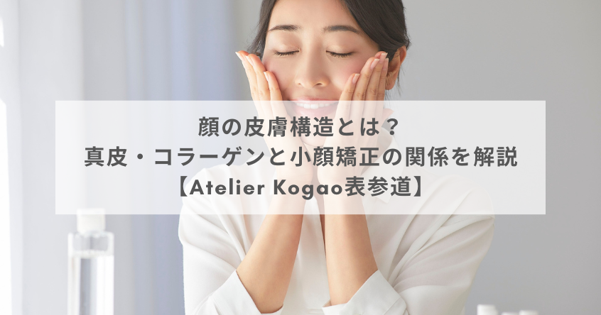 顔の皮膚構造とは？真皮・コラーゲンと小顔矯正の関係を解説【Atelier Kogao表参道】