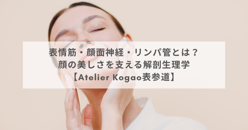 表情筋・顔面神経・リンパ管とは？顔の美しさを支える解剖生理学【Atelier Kogao表参道】