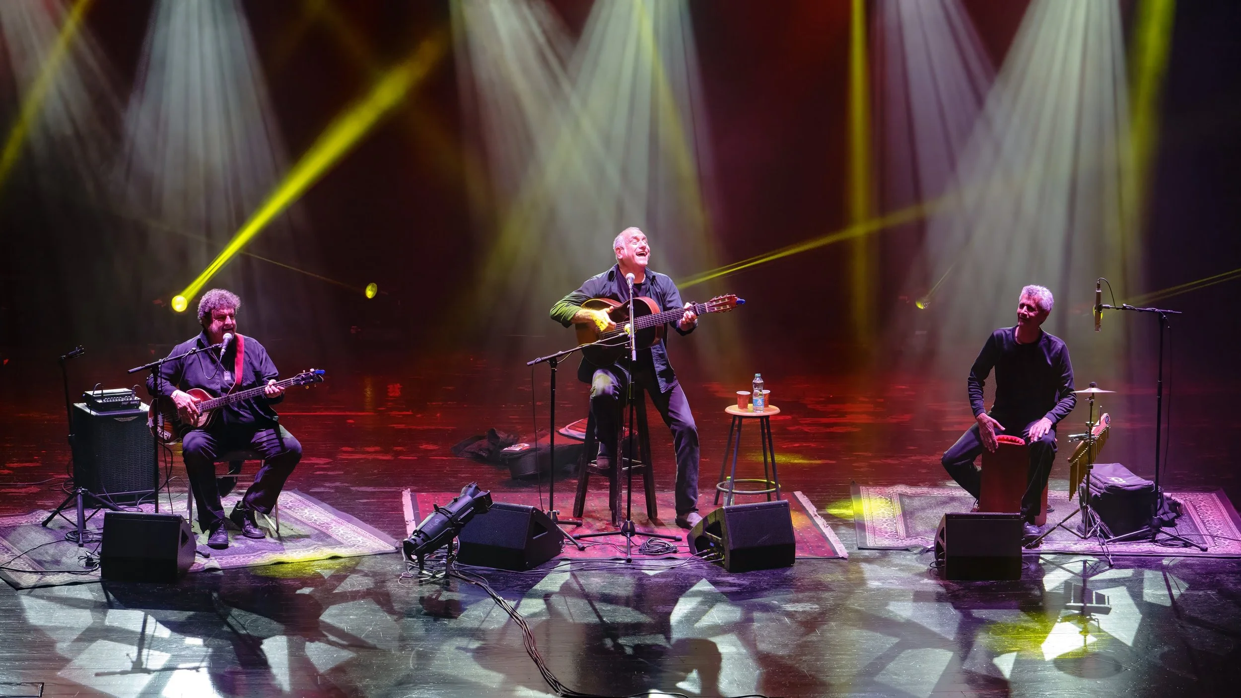 Live music performance capturing the raw energy and stage atmosphere. Professional concert photography by Peak Action in British Columbia.