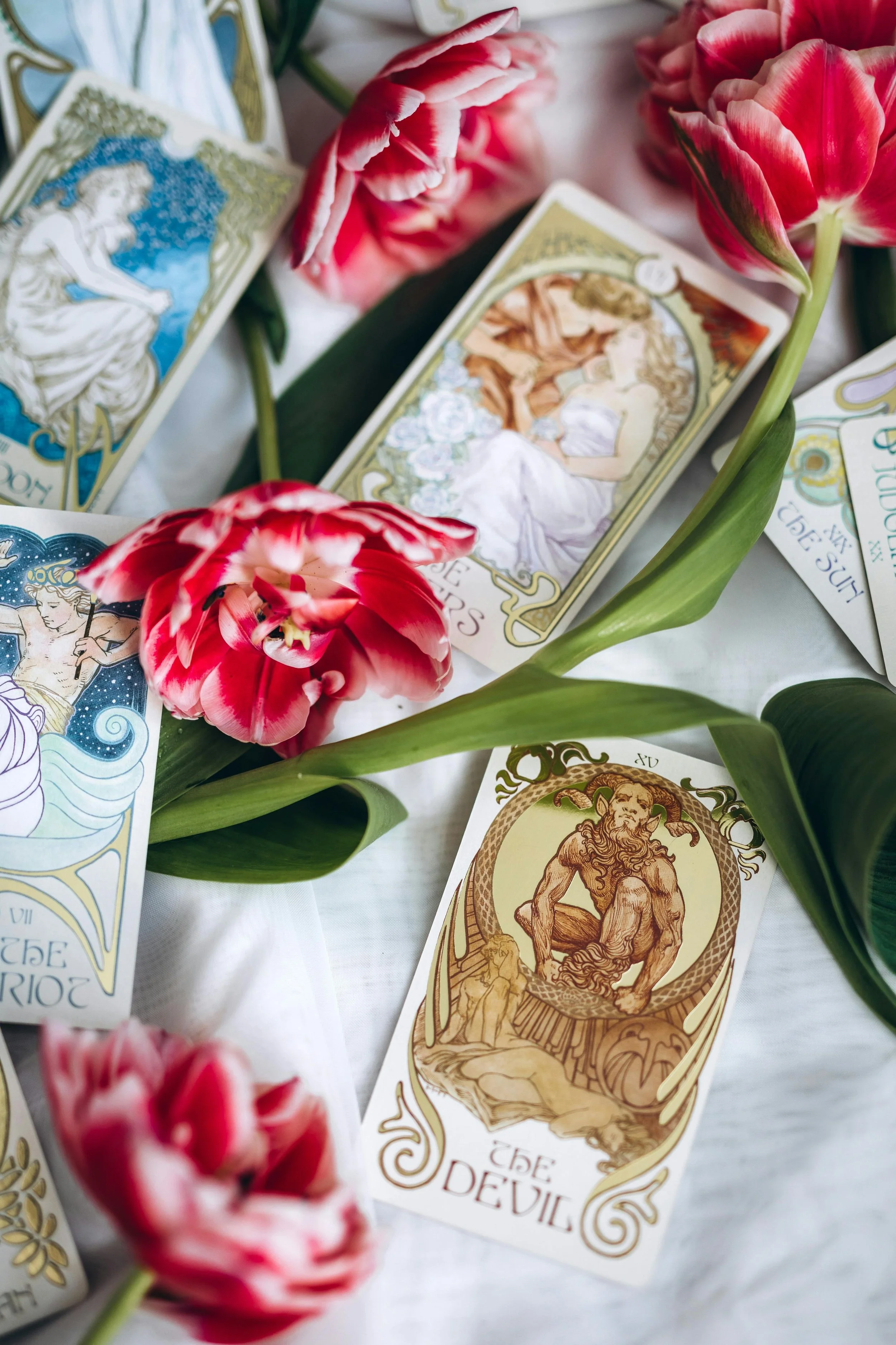 Tarot cards laid out on a white surface with pink and white tulips