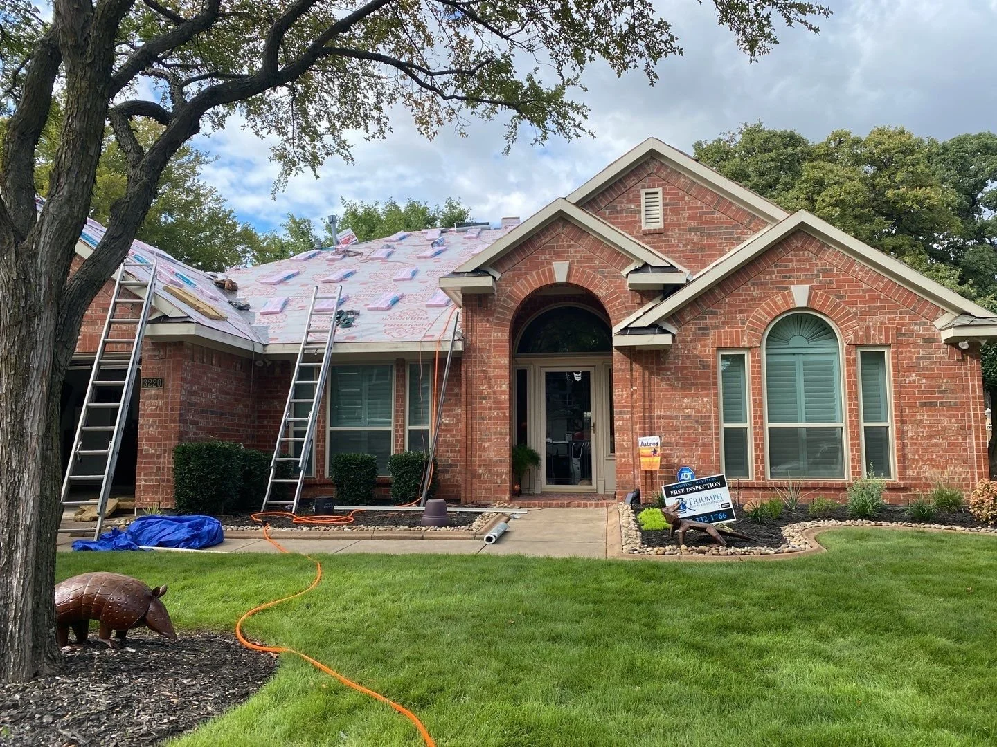 616e11ff-78ad-4939-9f14-87877adb6780.jpg