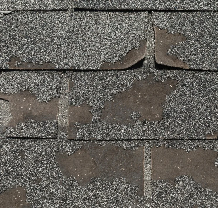 Common Roof Problems in Plano, TX (and How to Fix Them)