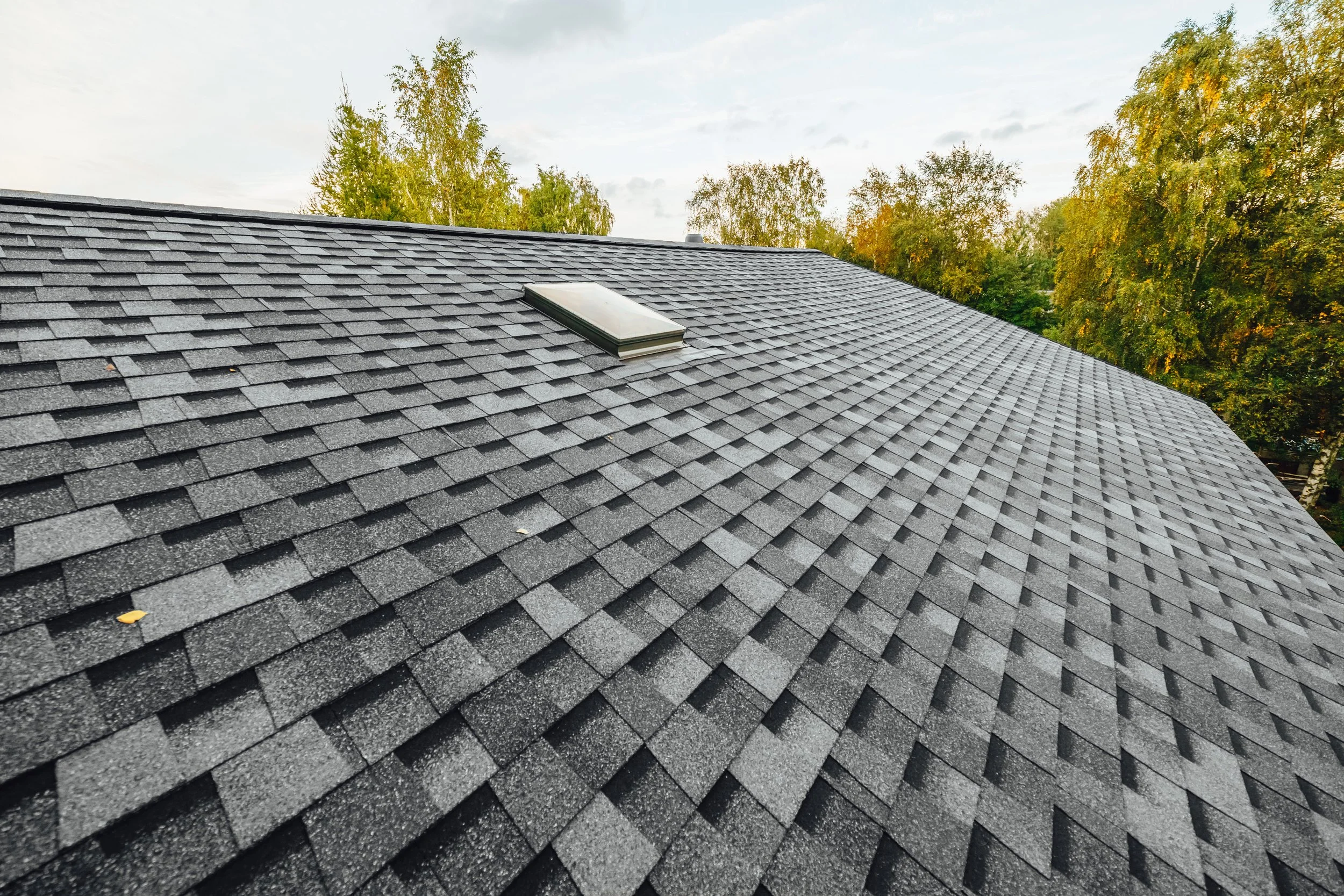 Close-up view of a black asphalt shingle roofing service in North Dallas with a skylight window and trees with autumn foliage in the background.