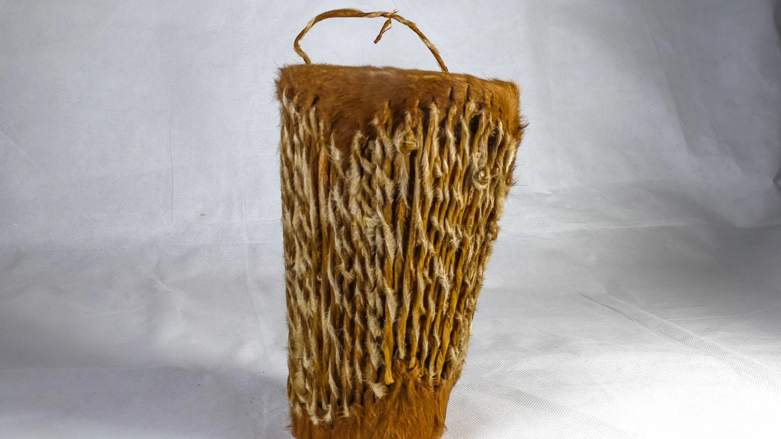 P1020165.jpg