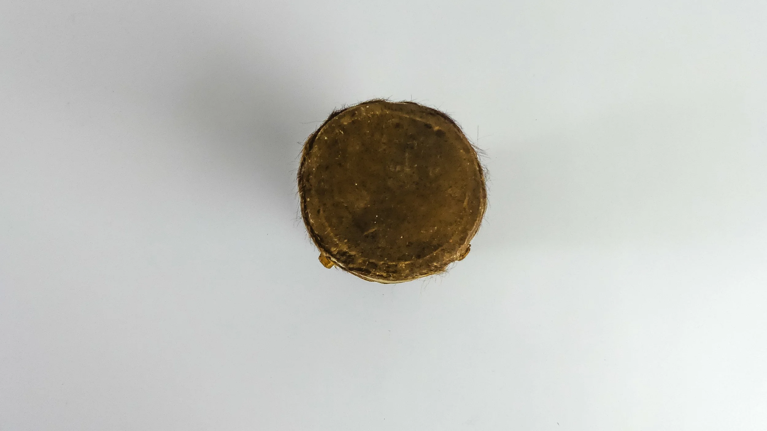 P1010156.jpg