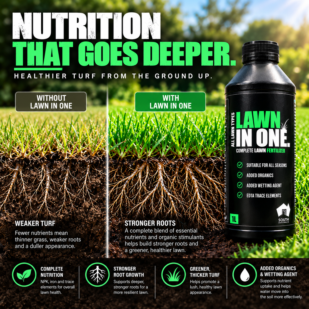Lawn in One lawn nutrition for healthy roots and turf growth