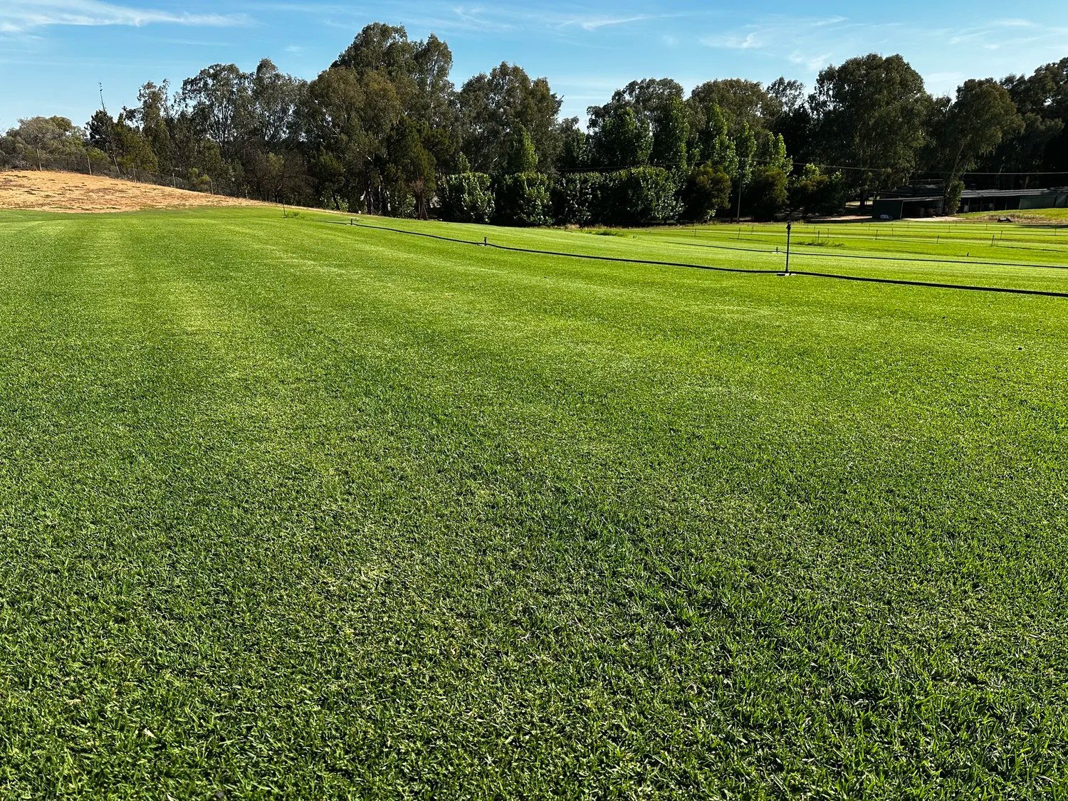 How to Get Your Lawn Ready for Spring