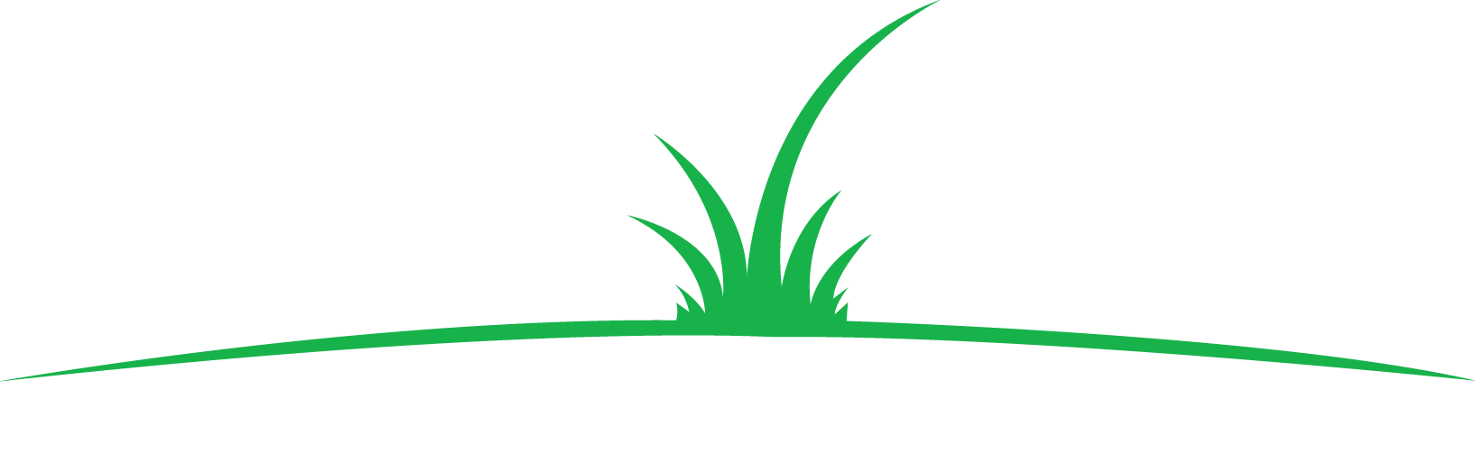 Torn Turf logo