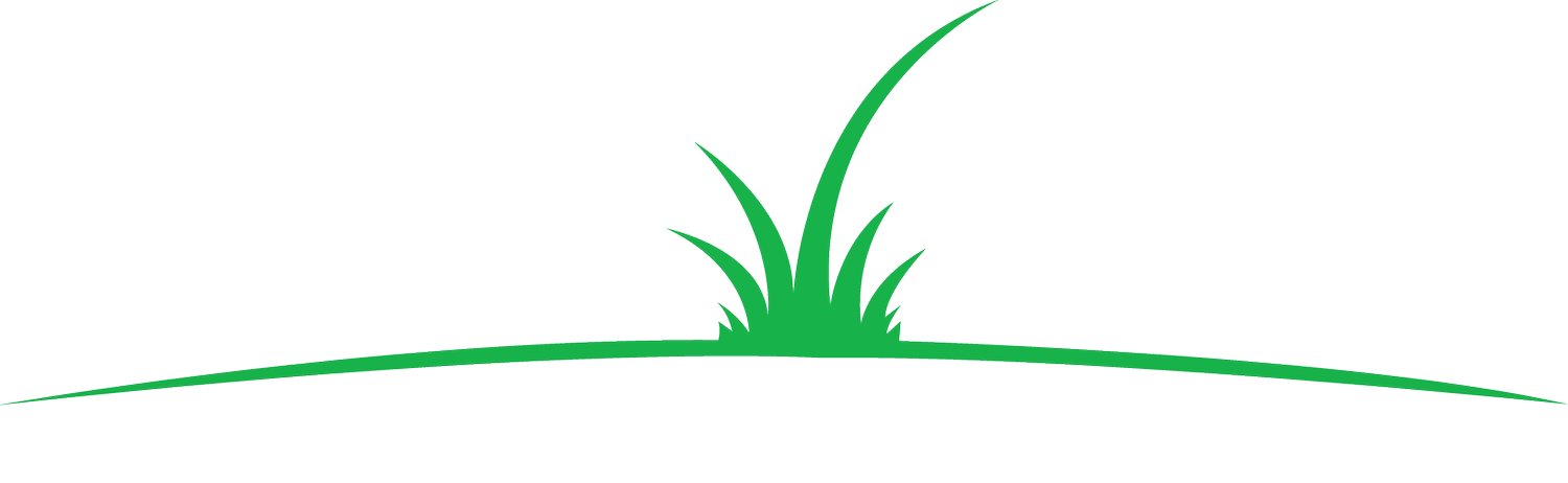 TORN TURF