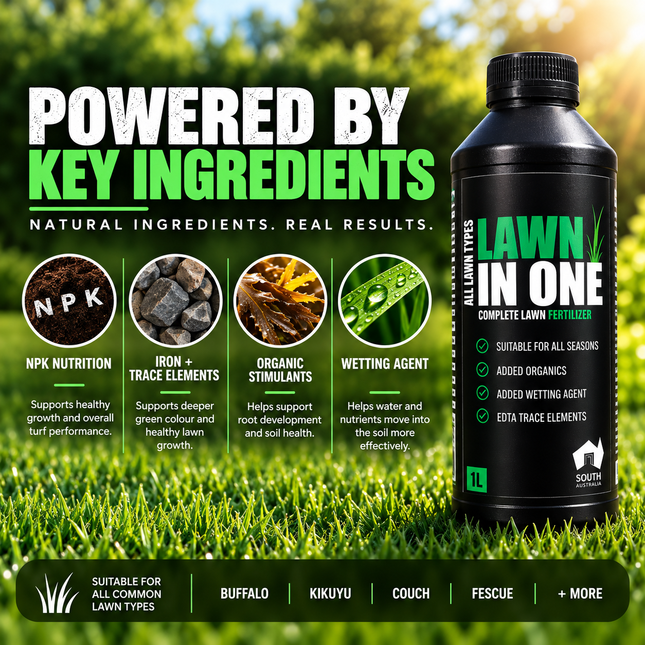 Lawn in One key lawn fertiliser ingredients and nutrients