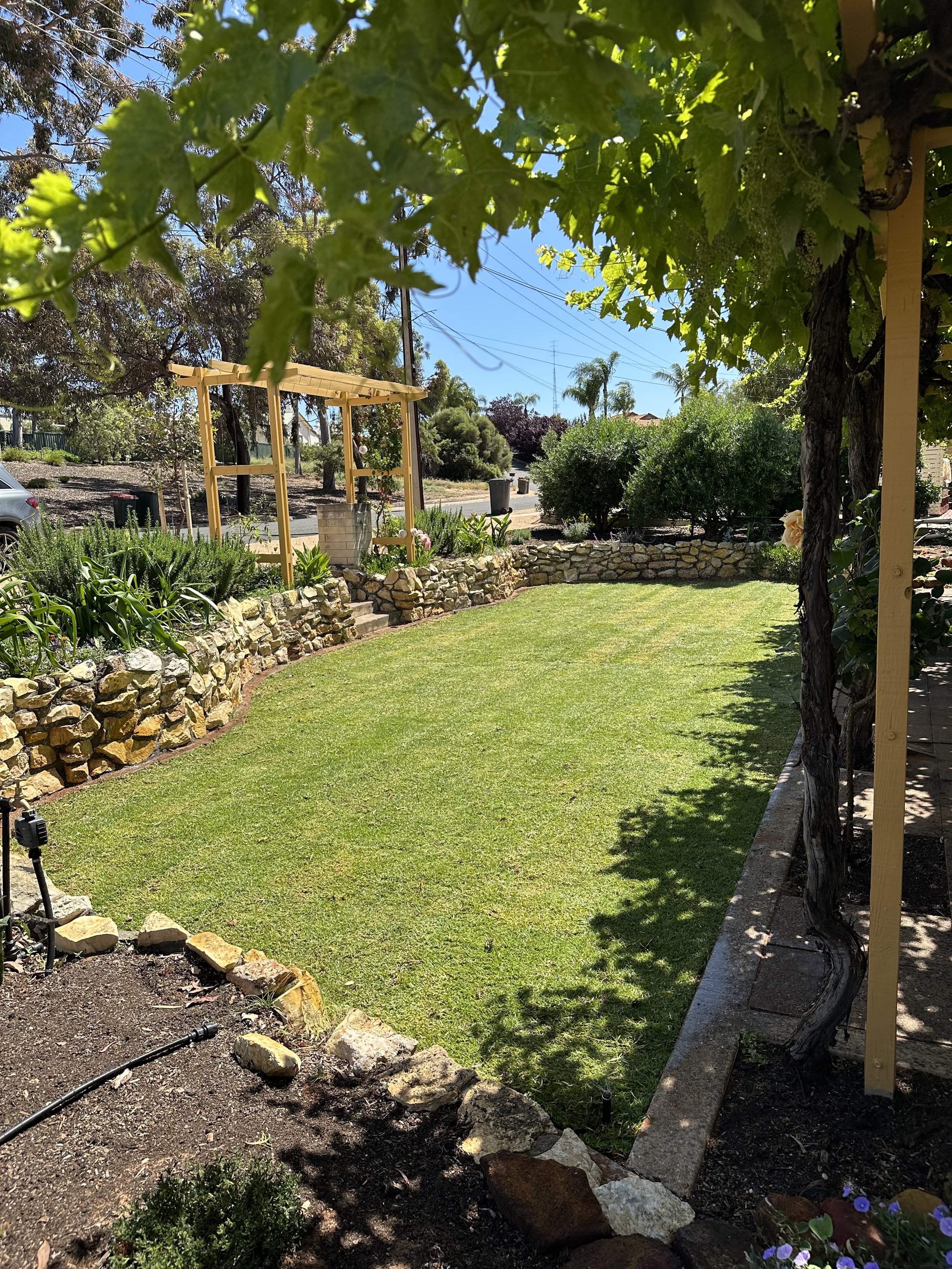 Newly installed turf lawn in a backyard garden with a stone retaining wall