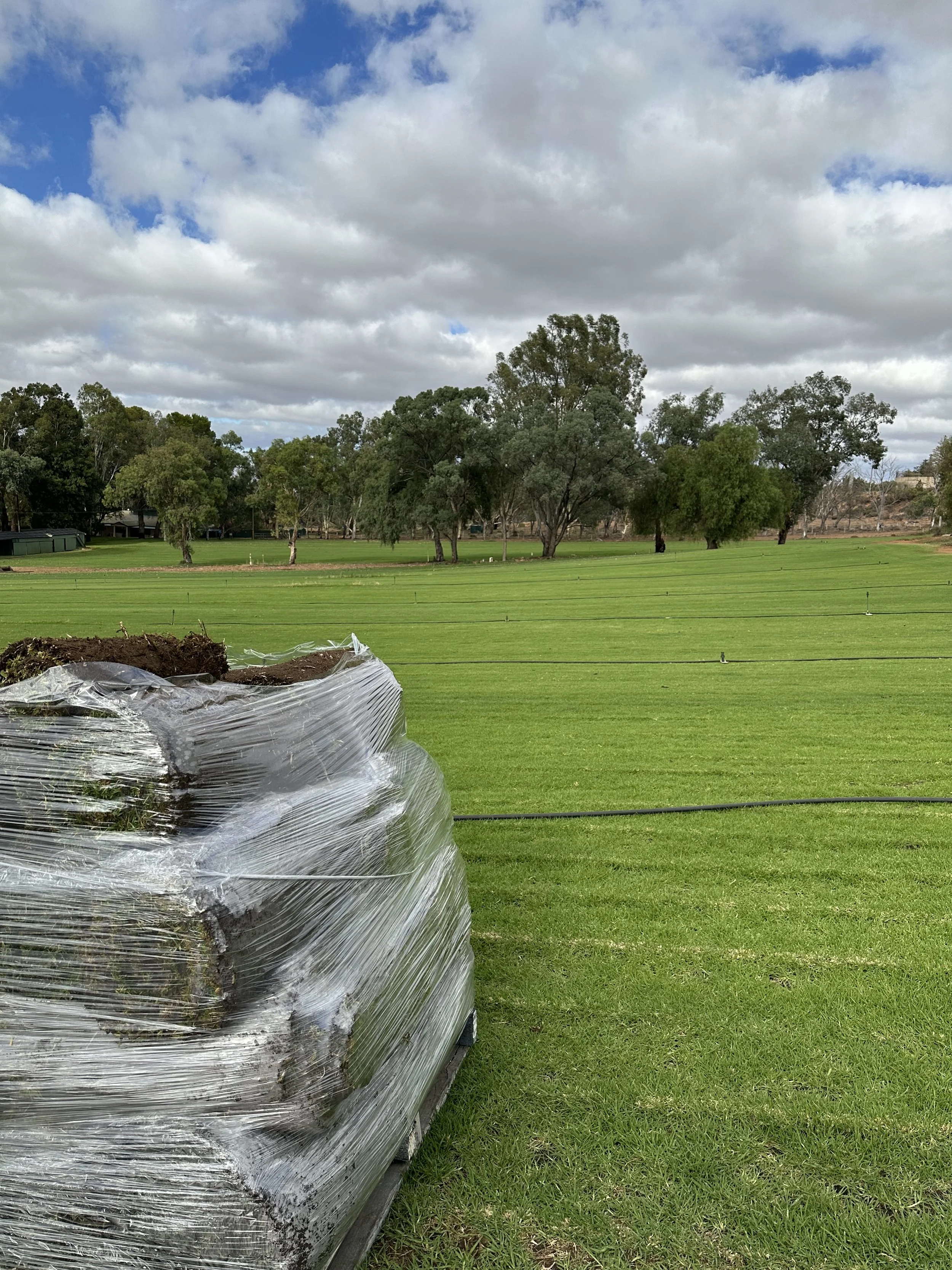 Pallet of instant turf delivered on site, ready for installation