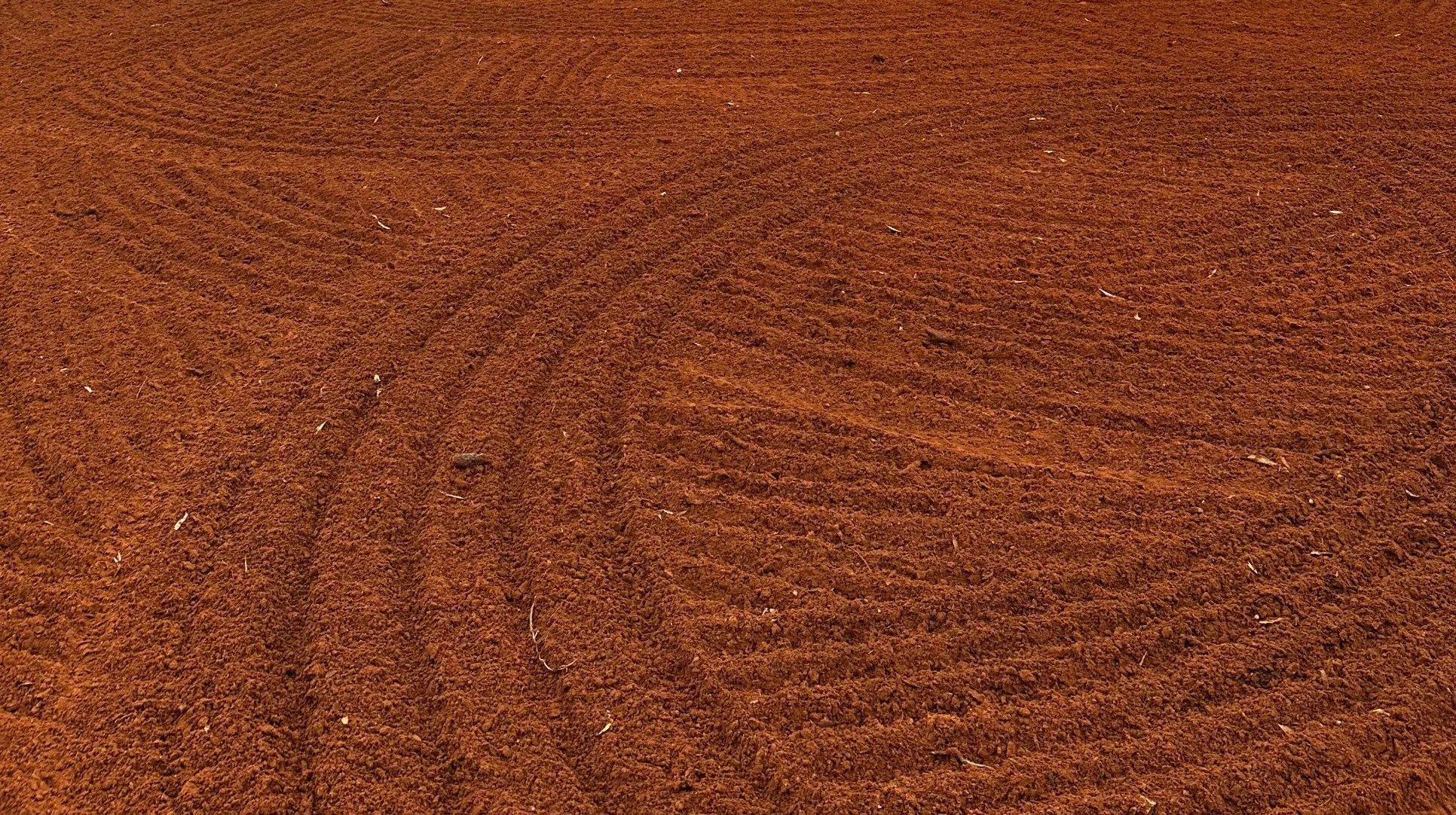 Freshly prepared and raked red soil, ready for seeding a new lawn in the Riverland