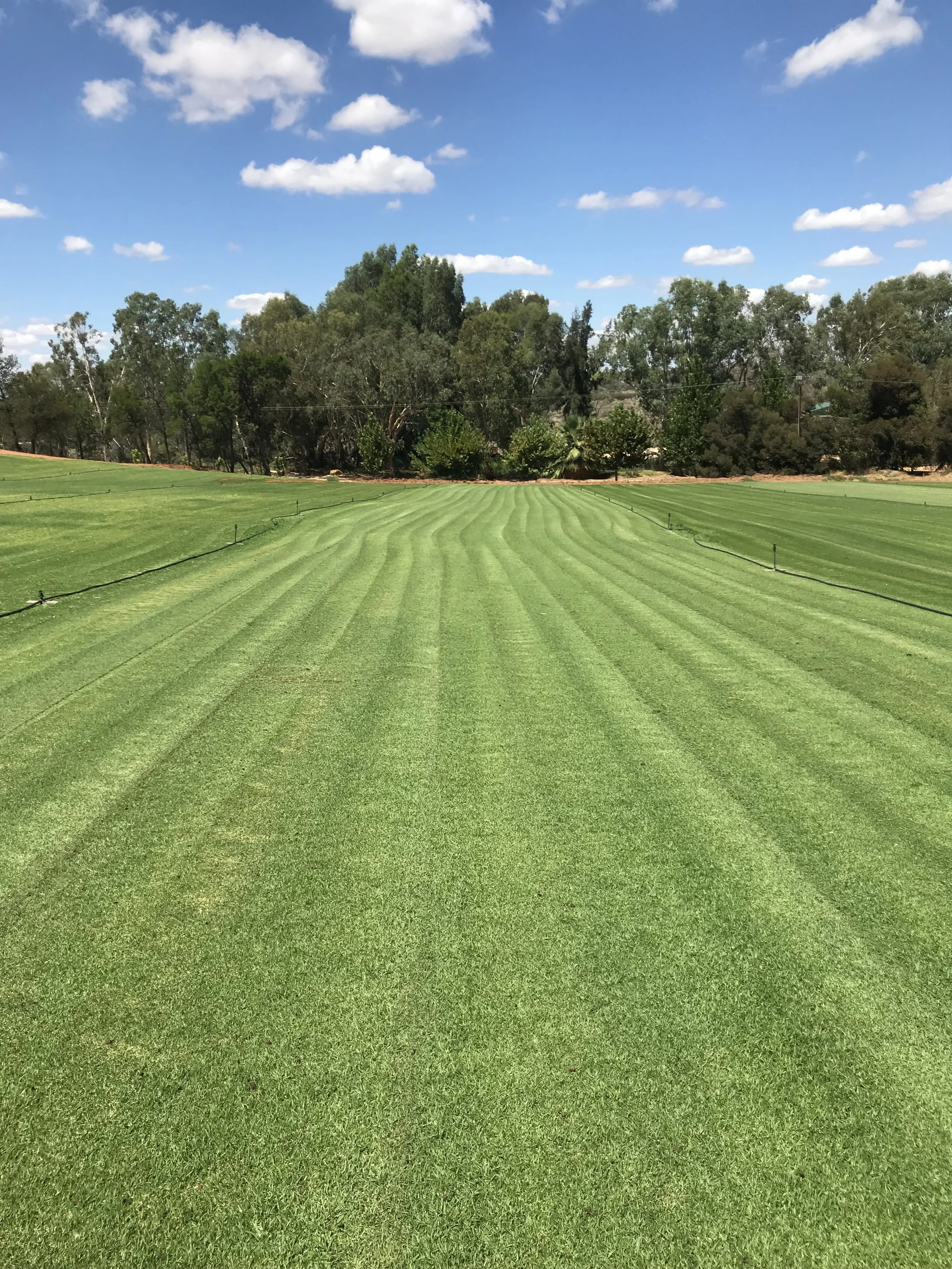 Freshly mown instant turf field with mowing stripes, ready for supply in South Australia