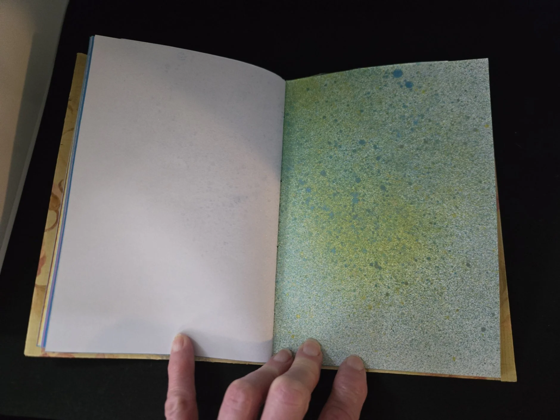 Journal 0001-8.jpg
