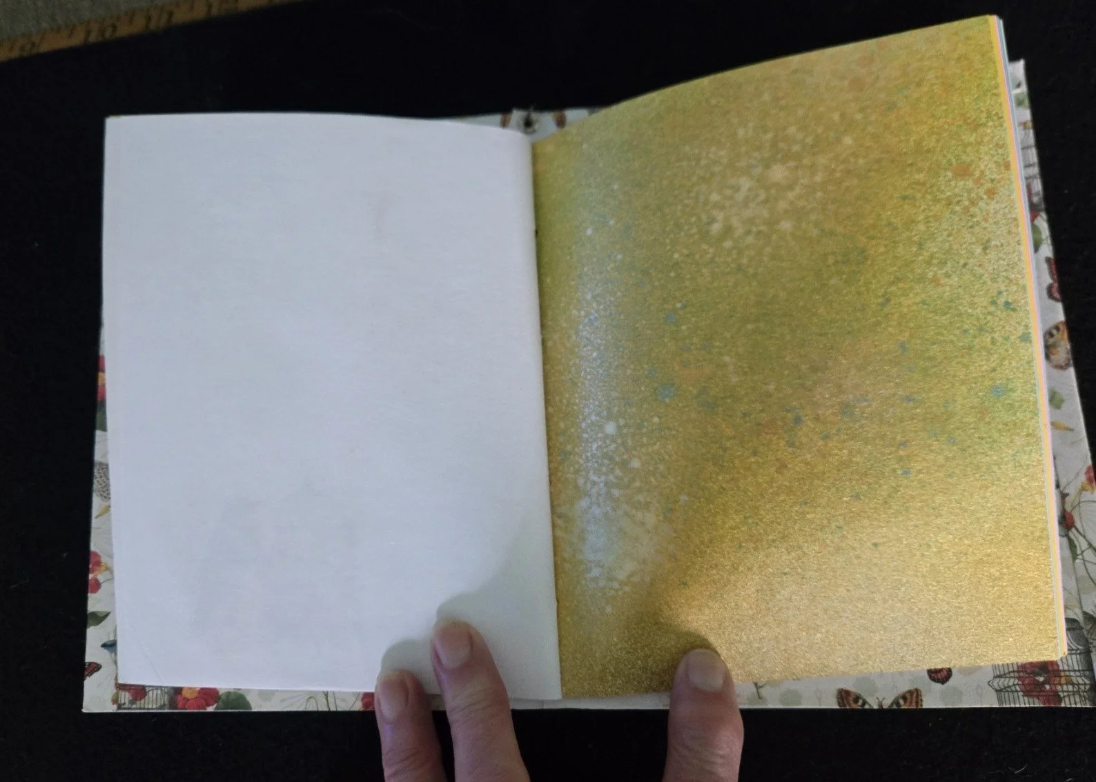 Journal 0002-5.JPG