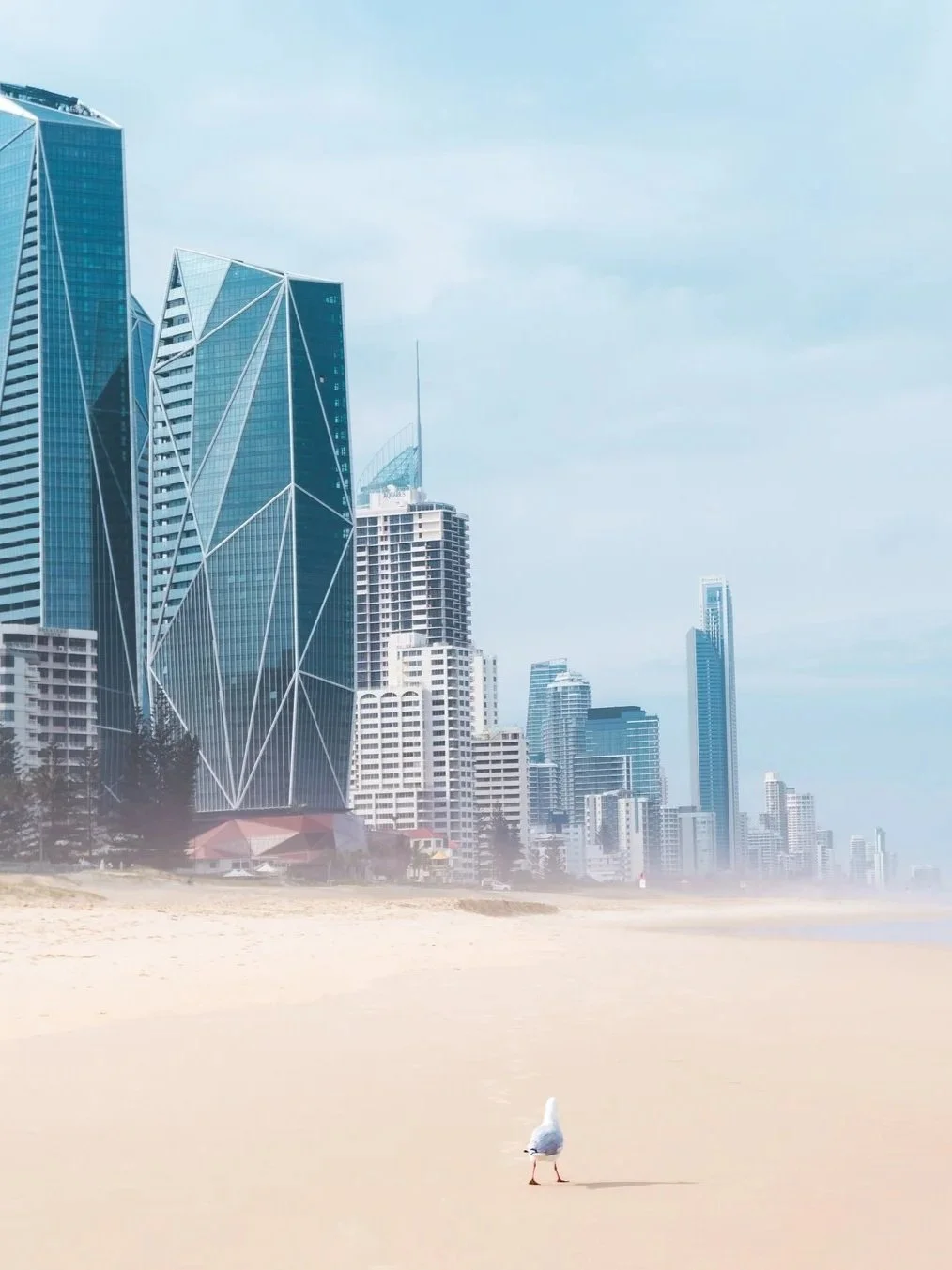 A seagull walking on the beach with a city skyline featuring tall modern buildings in the background.