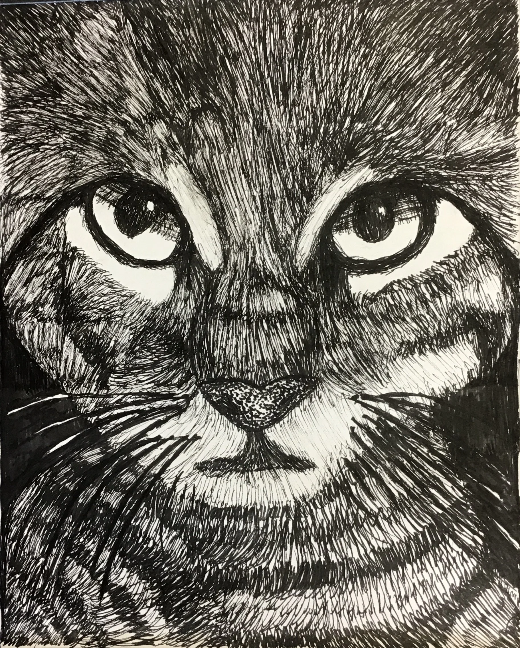 Grid Animal Drawings