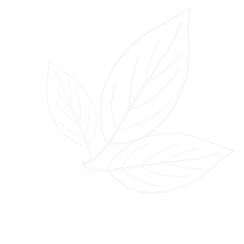 Outline drawing of three leaves on a black background