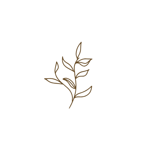 A simple line drawing of a plant with leaves, drawn in gold on a black background.