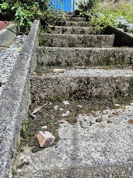 Concrete outdoor stairs with dirt and debris, bordered by a concrete wall on the left and greenery on the top, in sunlight.