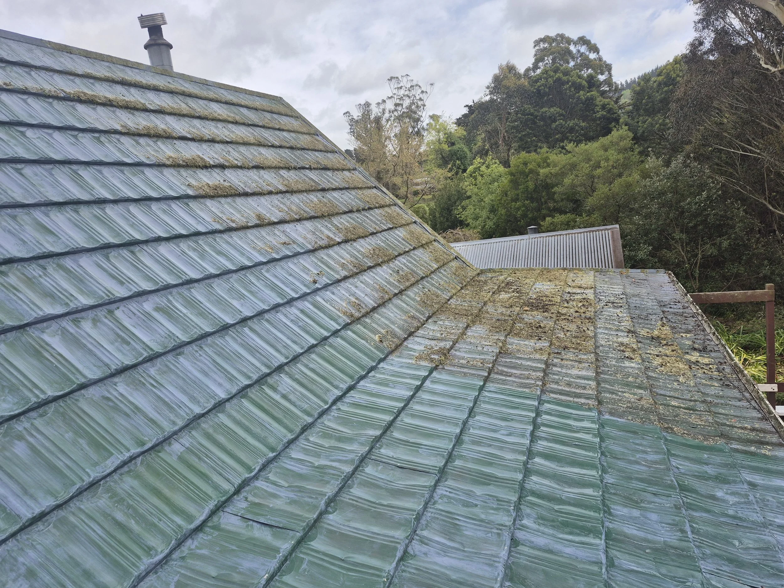 A roof with weathered green tiles covered in moss and debris, in a rural, forested area.