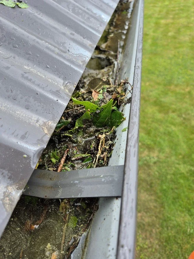 Clogged gutter filled with leaves, dirt, and debris on a house's exterior