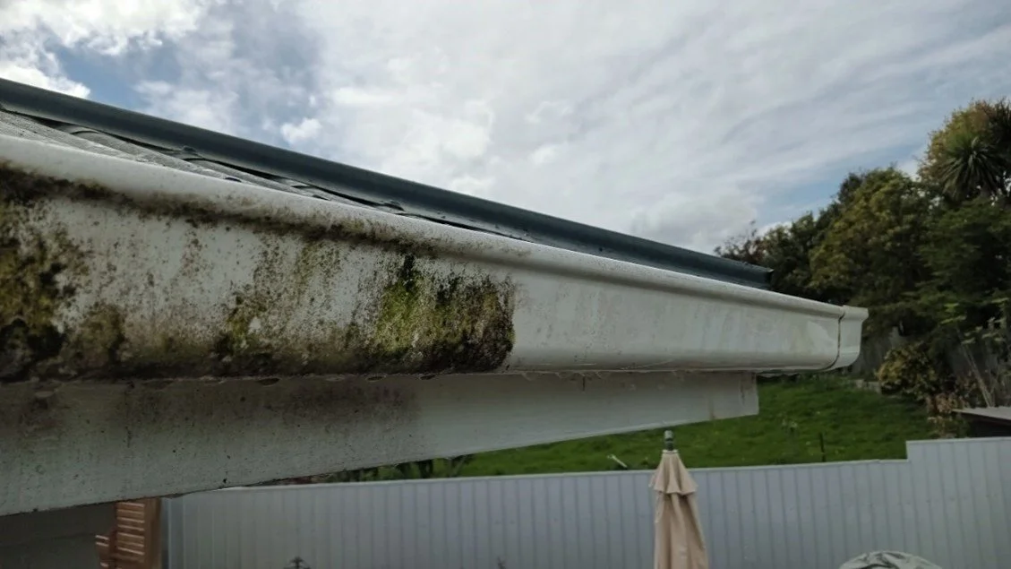 Close-up of an eavestrough with dirt and moss, part of a house's roof system, with a backyard, trees, fence, and cloudy sky in the background.