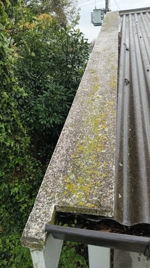 Close-up of a weathered, moss-covered concrete and metal roof edge with lush green bushes in the background.