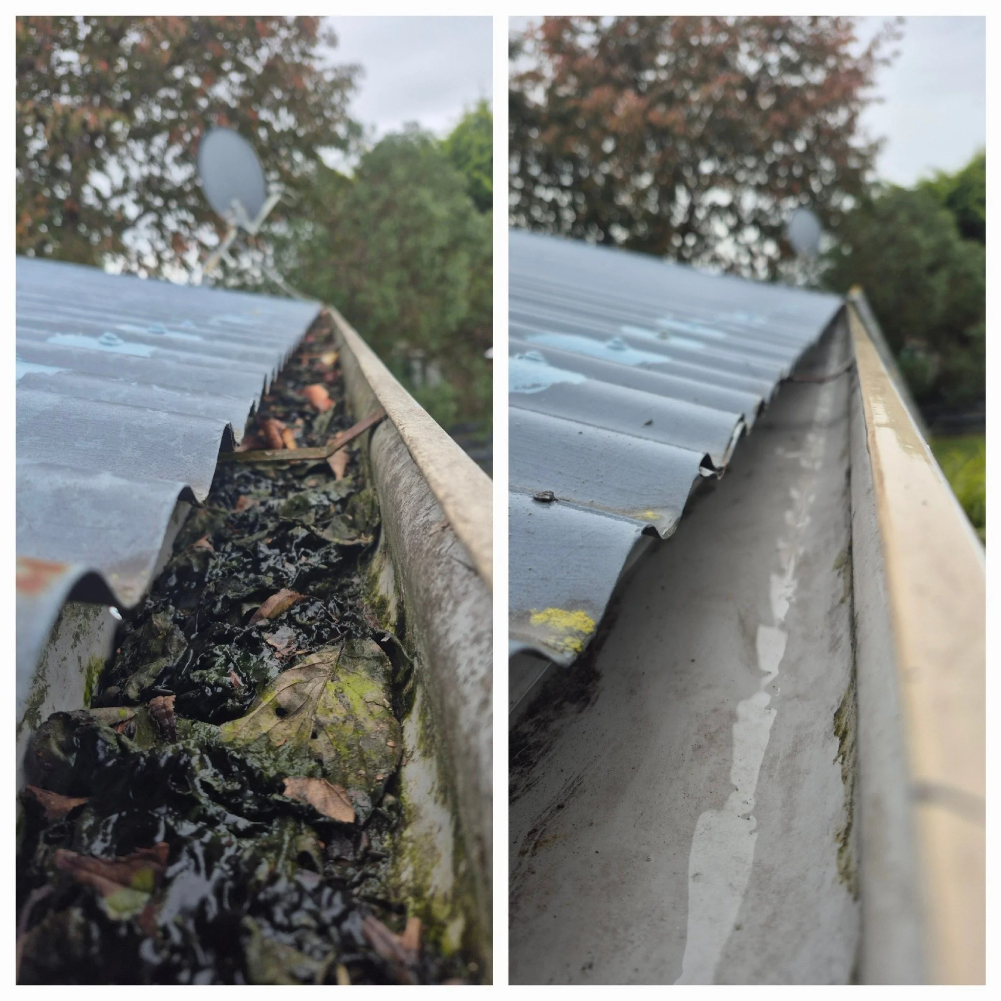 Close-up view of a gutter on the roof, showing clogged leaves and debris in the left section and a clean, clear gutter on the right section, with trees and a cloudy sky in the background.
