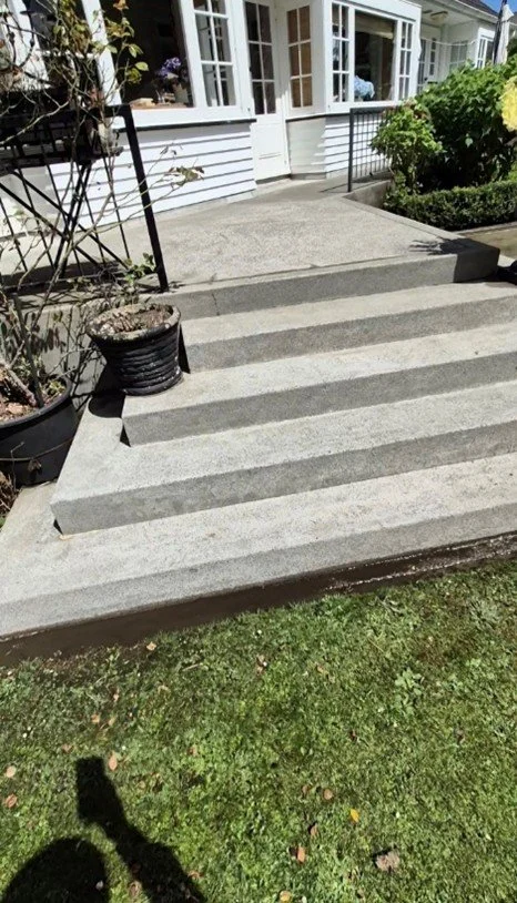 Concrete steps leading to a porch with black railings, a potted plant on the left, and a house with white siding and large windows.