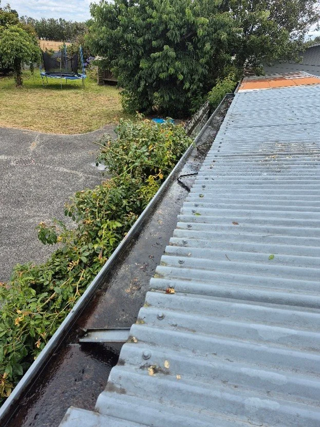 View of a corrugated metal roof with dirt and debris along the edges, a rain gutter below, and a yard with a trampoline, trees, and a lawn in the background.