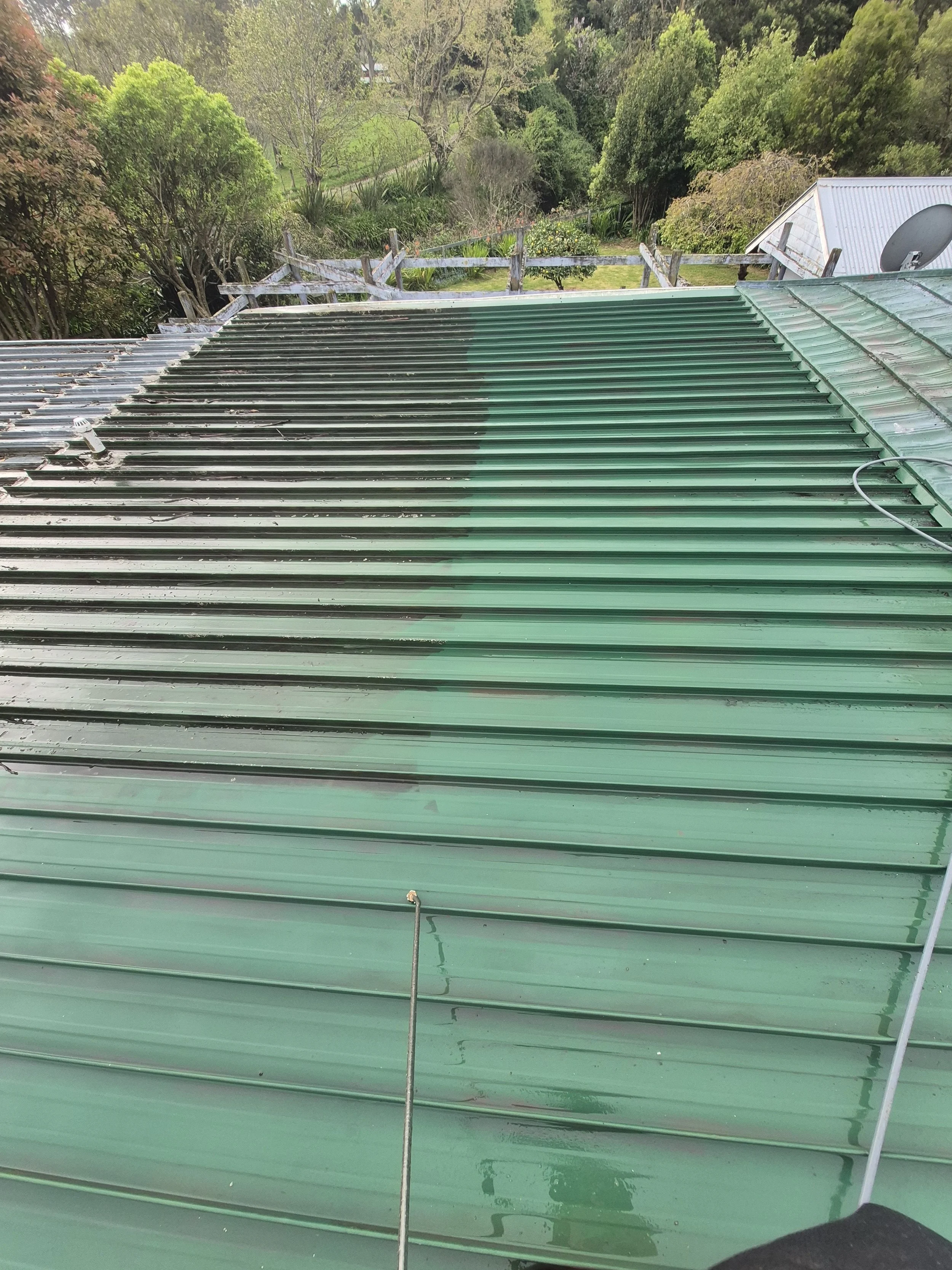 Photo of a metal green roof showing a transition from old to new paint, with trees and a house in the background.